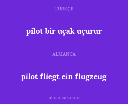 pilot fliegt ein flugzeug - pilot bir uçak uçurur