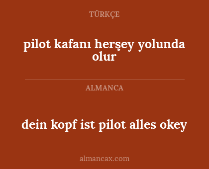 dein kopf ist pilot alles okey - pilot kafanı herşey yolunda olur