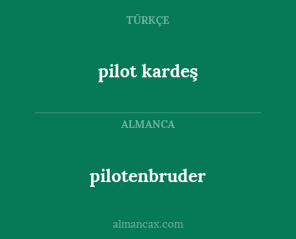 pilot kardeş - pilotenbruder