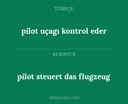 pilot steuert das flugzeug - pilot uçagı kontrol eder