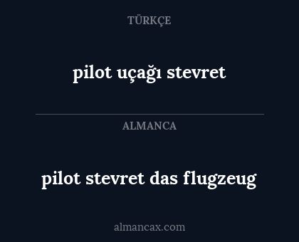 pilot uçağı stevret - pilot stevret das flugzeug