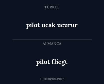 pilot fliegt - pilot ucak ucurur
