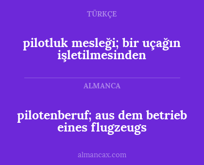 pilotenberuf; aus dem betrieb eines flugzeugs - pilotluk mesleği; bir uçağın işletilmesinden