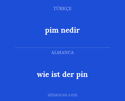 wie ist der pin - pim nedir