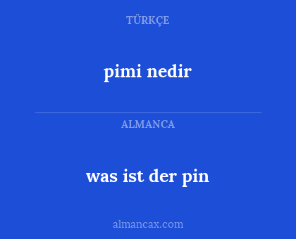 pimi nedir - was ist der pin