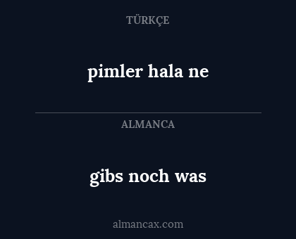gibs noch was - pimler hala ne