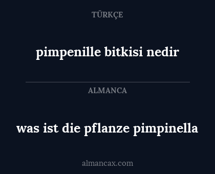 pimpenille bitkisi nedir - was ist die pflanze pimpinella