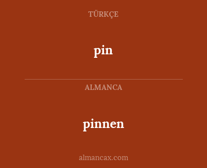 pinnen - pin