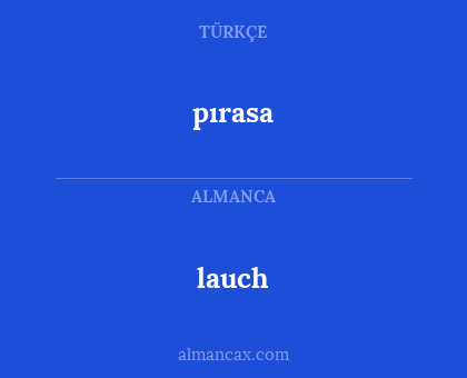 pırasa - lauch