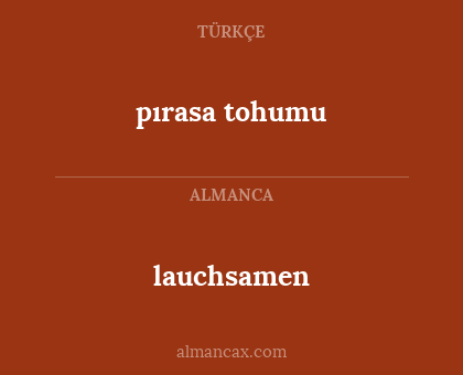 pırasa tohumu - lauchsamen