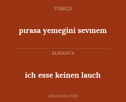 ich esse keinen lauch - pırasa yemegini sevmem