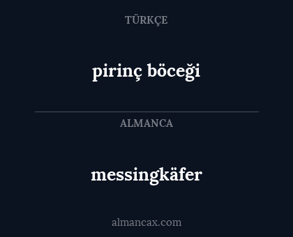 messingkäfer - pirinç böceği