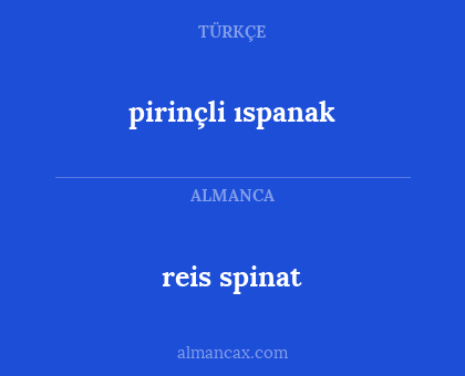 reis spinat - pirinçli ıspanak