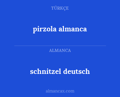 pirzola almanca - schnitzel deutsch