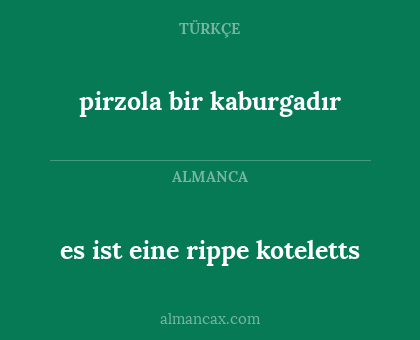 pirzola bir kaburgadır - es ist eine rippe koteletts