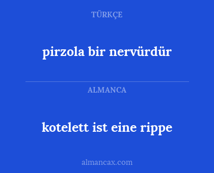 kotelett ist eine rippe - pirzola bir nervürdür