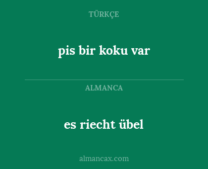 es riecht übel - pis bir koku var