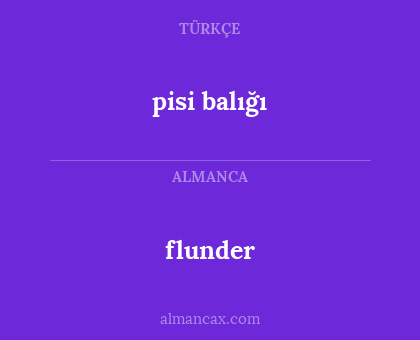 flunder - pisi balığı