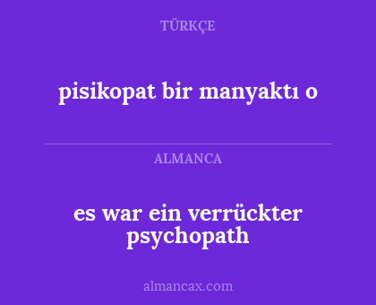 es war ein verrückter psychopath - pisikopat bir manyaktı o