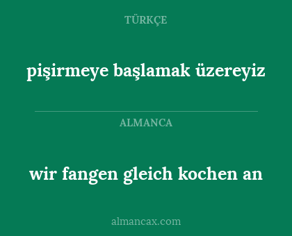 pişirmeye başlamak üzereyiz - wir fangen gleich kochen an