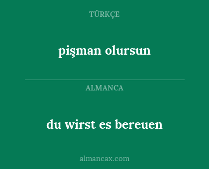 du wirst es bereuen - pişman olursun