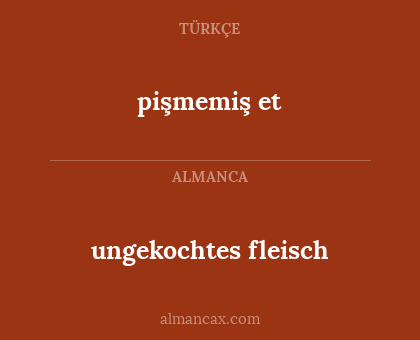 pişmemiş et - ungekochtes fleisch