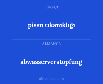 abwasserverstopfung - pissu tıkanıklığı