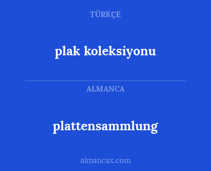 plak koleksiyonu - plattensammlung