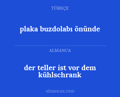 plaka buzdolabı önünde - der teller ist vor dem kühlschrank