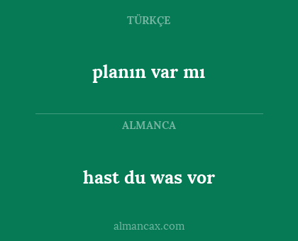 planın var mı - hast du was vor