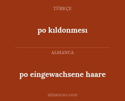 po eingewachsene haare - po kıldonmesı
