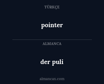 pointer - der puli