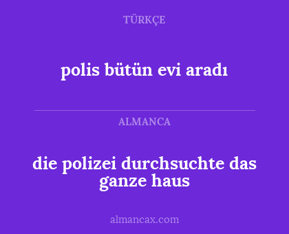 die polizei durchsuchte das ganze haus - polis bütün evi aradı