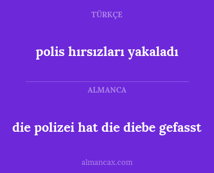 polis hırsızları yakaladı - die polizei hat die diebe gefasst