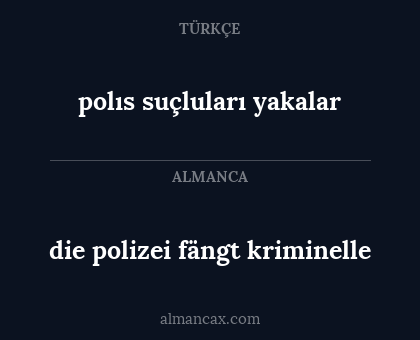 die polizei fängt kriminelle - polıs suçluları yakalar