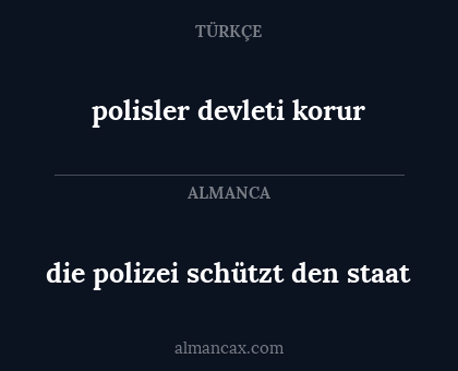 die polizei schützt den staat - polisler devleti korur