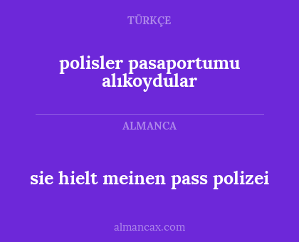 sie hielt meinen pass polizei - polisler pasaportumu alıkoydular