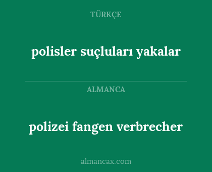 polizei fangen verbrecher - polisler suçluları yakalar