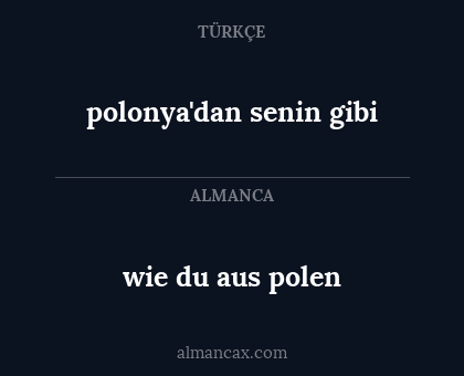 polonya'dan senin gibi - wie du aus polen