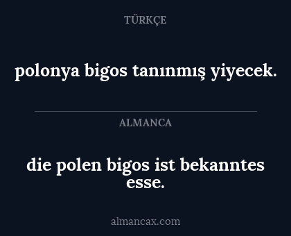 die polen bigos ist bekanntes esse. - polonya bigos tanınmış yiyecek.