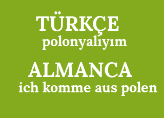 polonyal%C4%B1y%C4%B1m-ich+komme+aus+polen.png