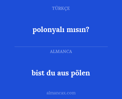 bist du aus pölen - polonyalı mısın?