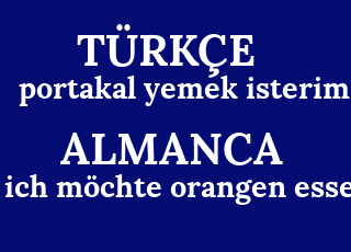 portakal+yemek+isterim-ich+m%C3%B6chte+orangen+essen.png