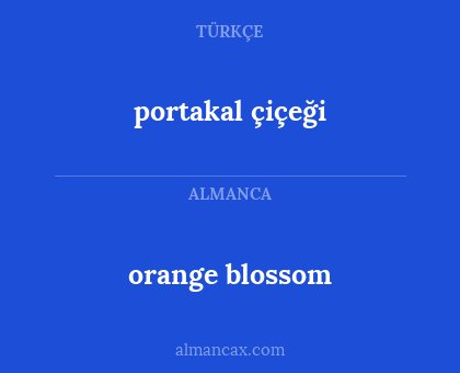 orange blossom - portakal çiçeği