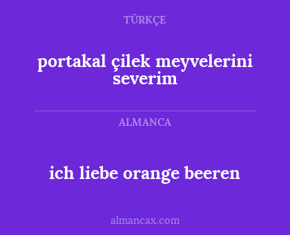portakal çilek meyvelerini severim - ich liebe orange beeren