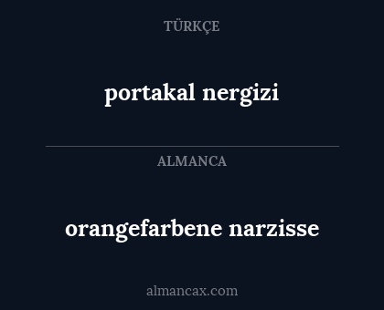 portakal nergizi - orangefarbene narzisse