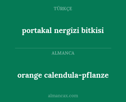 orange calendula-pflanze - portakal nergizi bitkisi