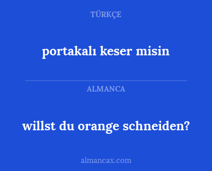 willst du orange schneiden? - portakalı keser misin