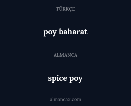 poy baharat - spice poy