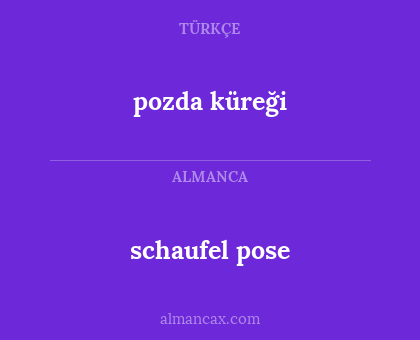 schaufel pose - pozda küreği